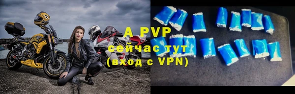 a pvp Богданович